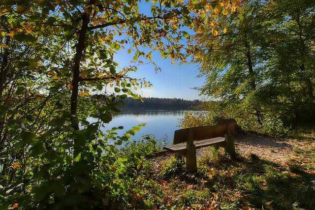 笑和辱罵的 笑和辱罵的