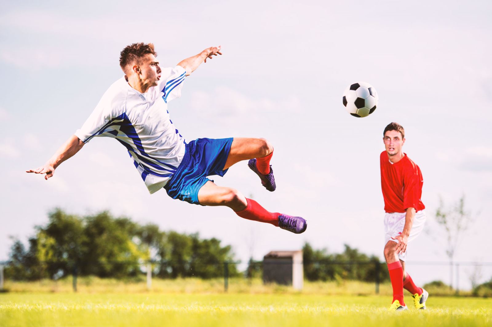 显得固若金 显得固若金