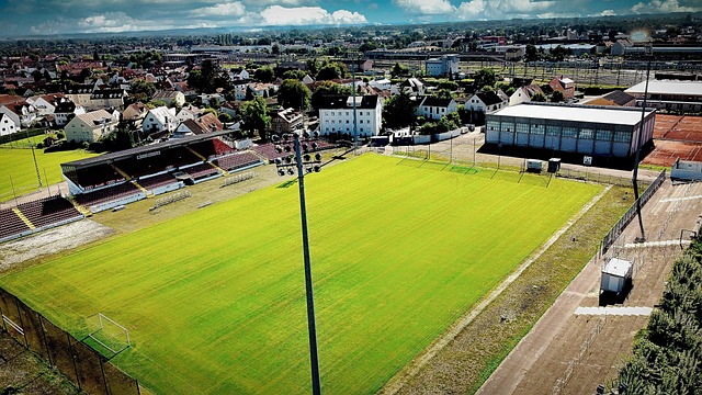 除却高额奖 除却高额奖