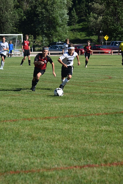 球员的个人 球员的个人